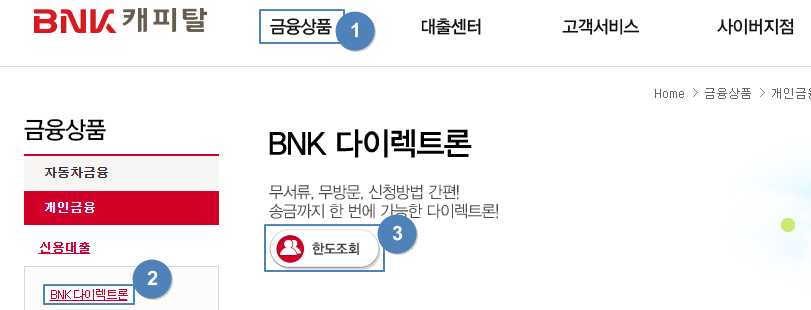 bnk 캐피탈 다이렉트론 총정리(무직자, 무서류, 무방문 대출 가능)